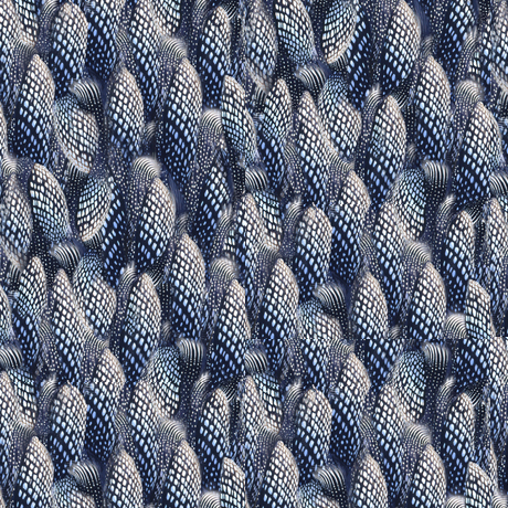 LOONS                    